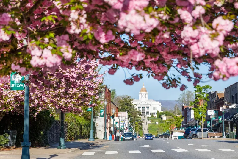 Downtown Sylva NC cherry blossoms historic courthouse Jackson County Western North Carolina